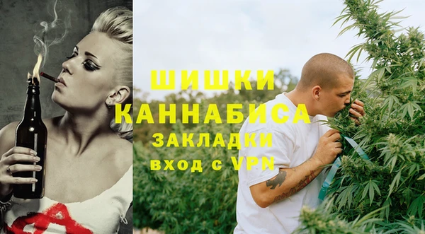 прущие грибы Пролетарск