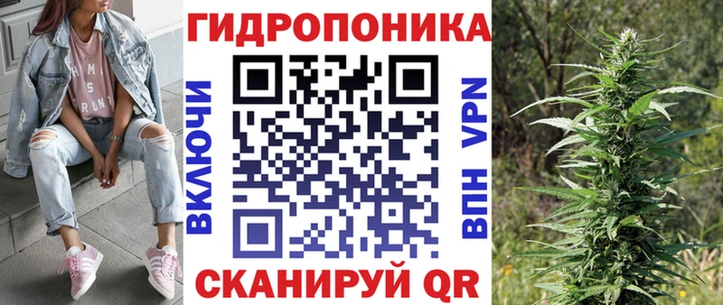 Бошки марихуана THC 21% Каменногорск